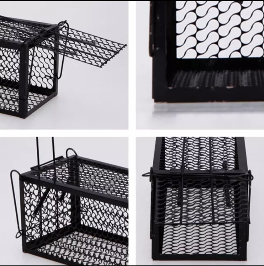 QQ图片20190925110123