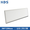 Flat lamp 295*1195 LED Panel lights white 40W double 80 2ft*4ft Plate cleaning lamp