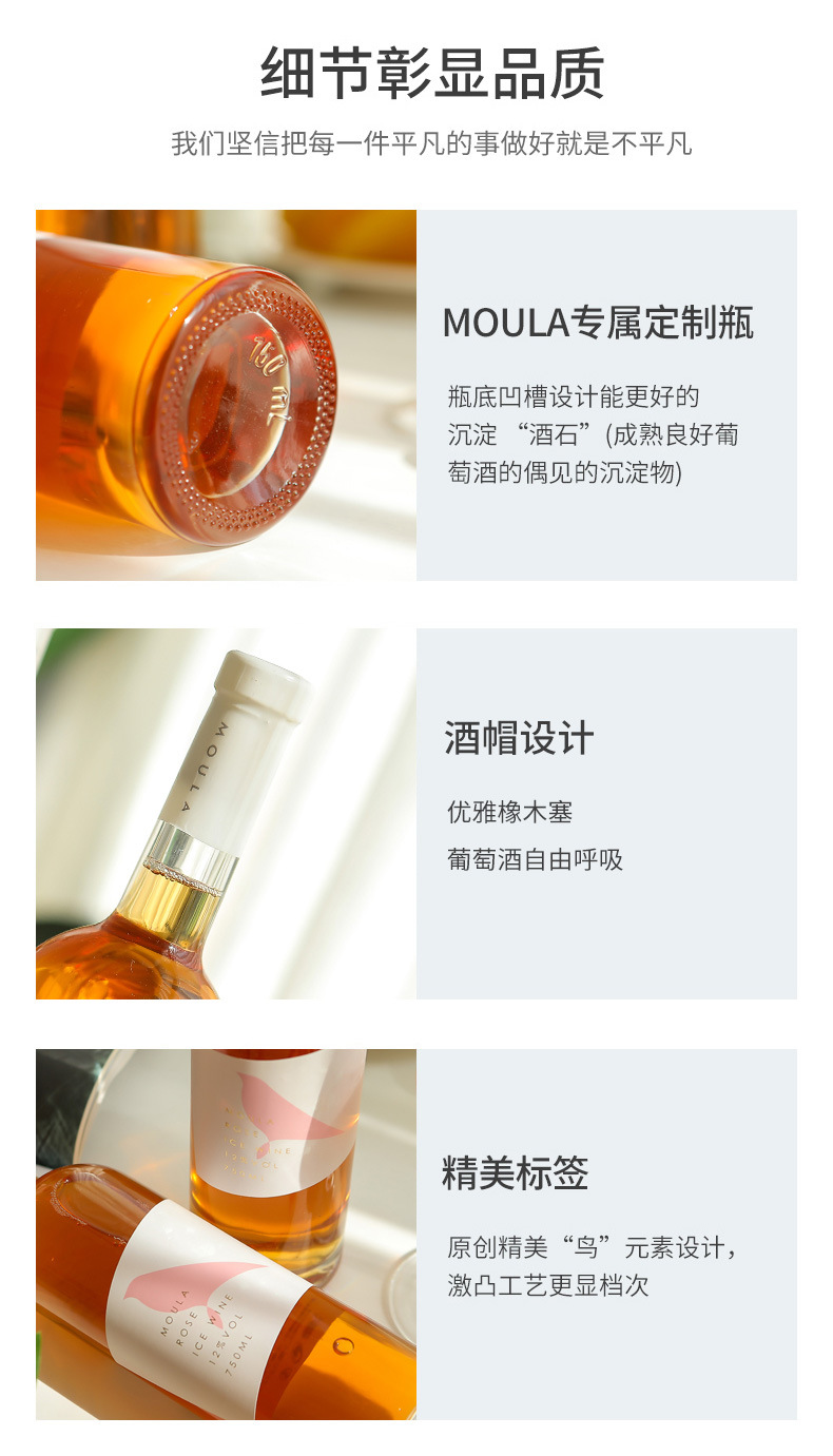750--玫瑰_09