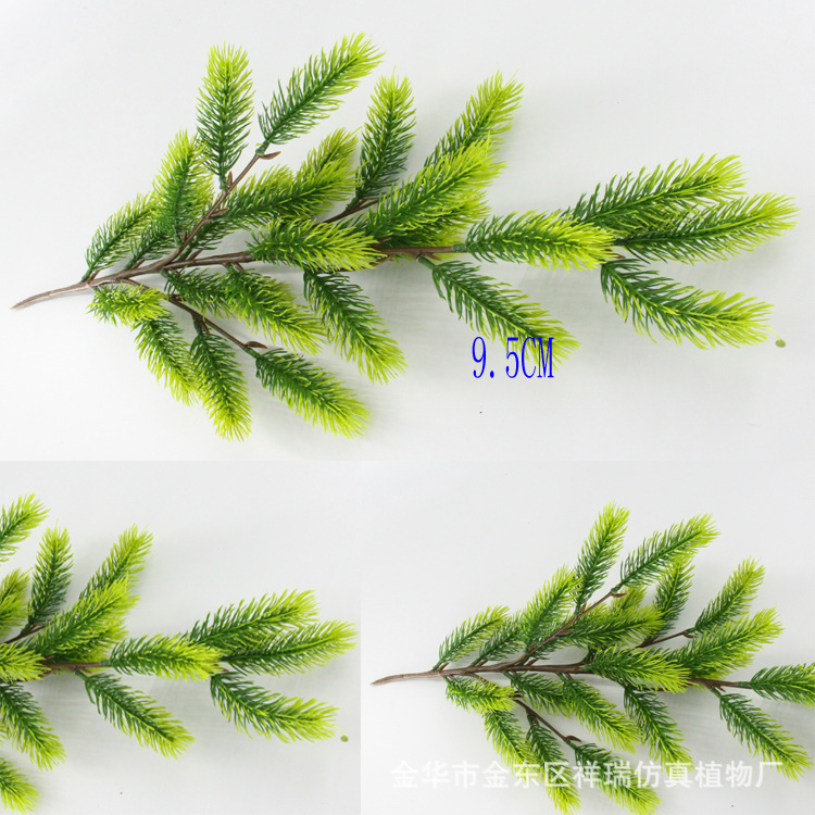 XRB-120臭冷杉四叉枝27叶(10CM).jpg