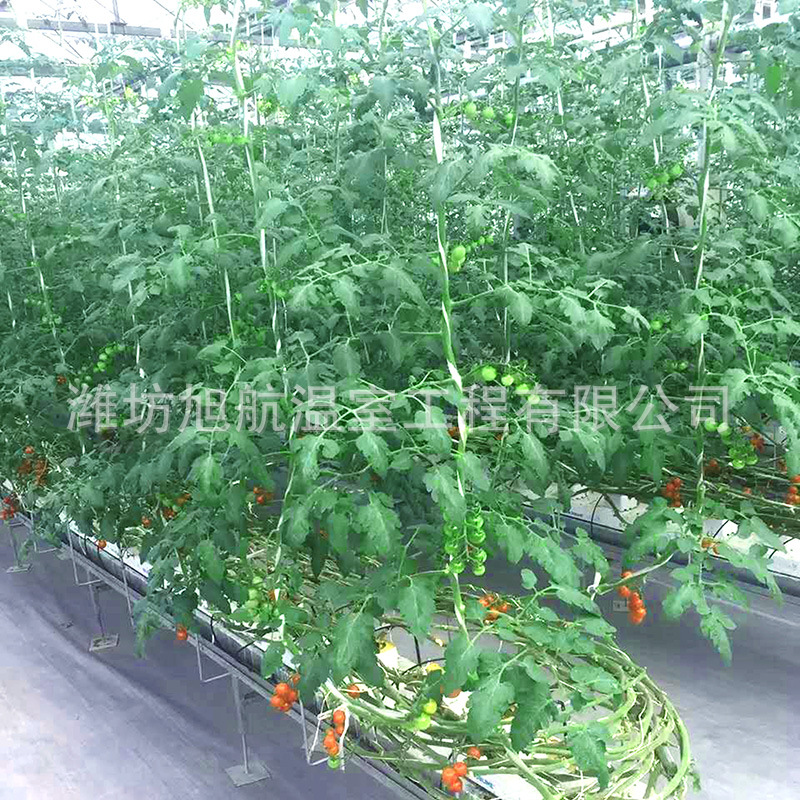 b6658c0cde95f77e09b9ef01d8043d