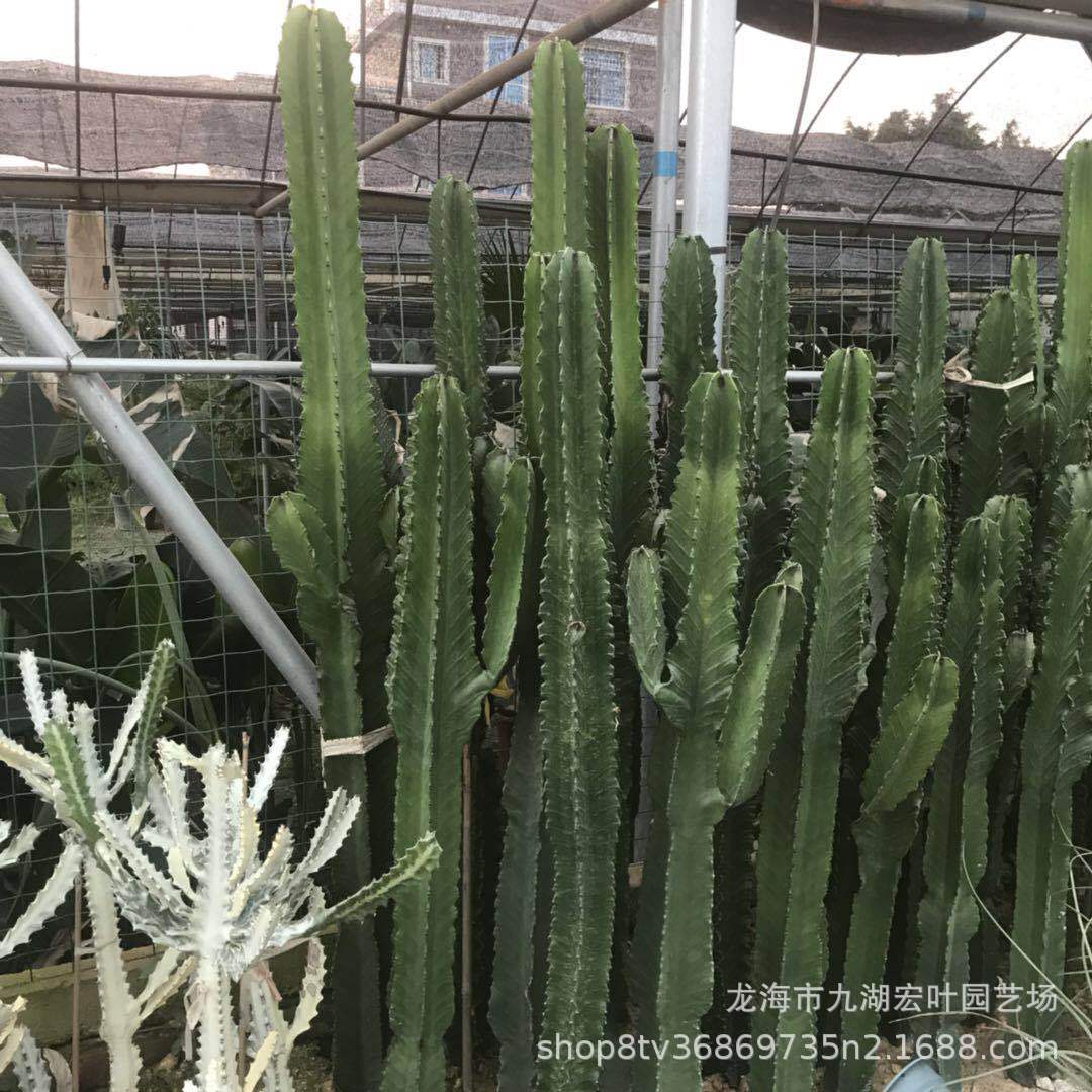 ΢ͼƬ_201905091611415