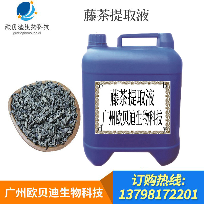 藤茶提取液提取物 藤茶提取液 原料 批发藤茶提取液