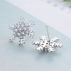 Long hypoallergenic silver needle, universal earrings with tassels, silver 925 sample, with snowflakes