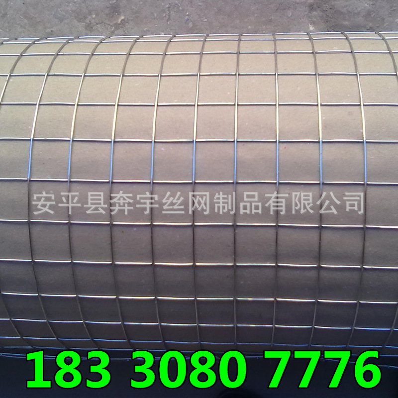 厂家生产 供应 通风口 下水道镀锌防护网 镀锌金属方孔防鸟网