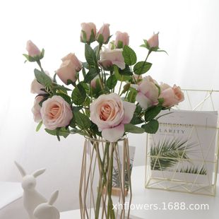 ��֦���^���၆����õ�廨�껨��ˇ���廨�ٻ��b͏d�������[�O