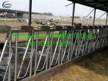 �S�ҵ̓r����ţ�i�� ���w�����\ţ���A ţ���O�� ��ţţ�i��