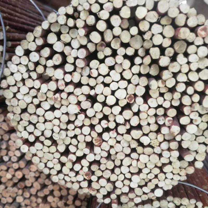 微信图片_20190422095301