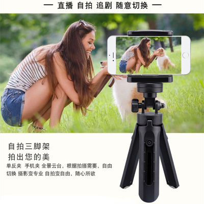 motion camera portable small-scale mobile phone tripod selfie Mini desktop live broadcast video Anyway Bracket