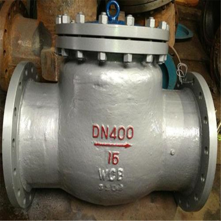 BH44H-16夹套保温止回阀NH7K2F-16P真空止回阀DCV单向阀ZHF逆止阀