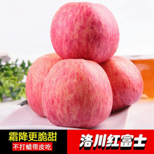 當季正宗陝西洛川紅富士蘋果新鮮水果脆甜多汁10/5斤裝非糖心蘋果