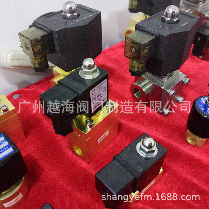 常闭304不锈钢高压电磁水阀控制气阀先导XSD 220v24v4分6分1寸2寸