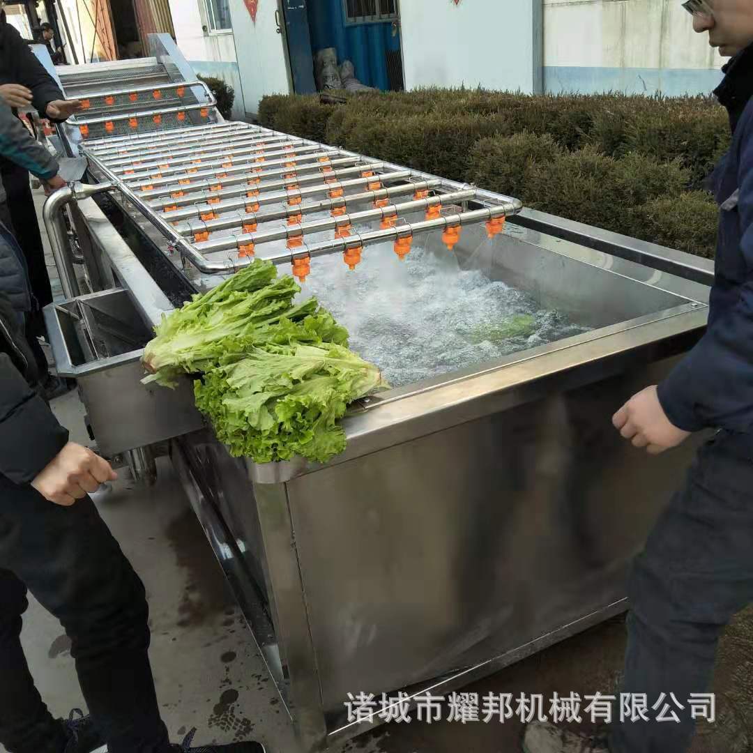 果蔬气泡清洗机 水果清洗线 全自动洗菜机设备叶类蔬菜清洗去杂机