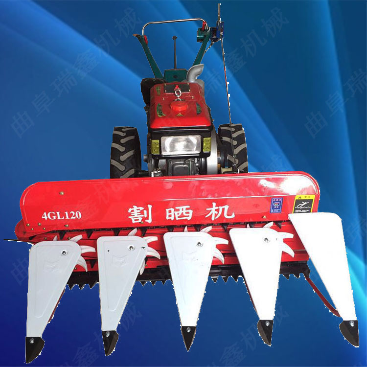 微信图片_2019031010332919