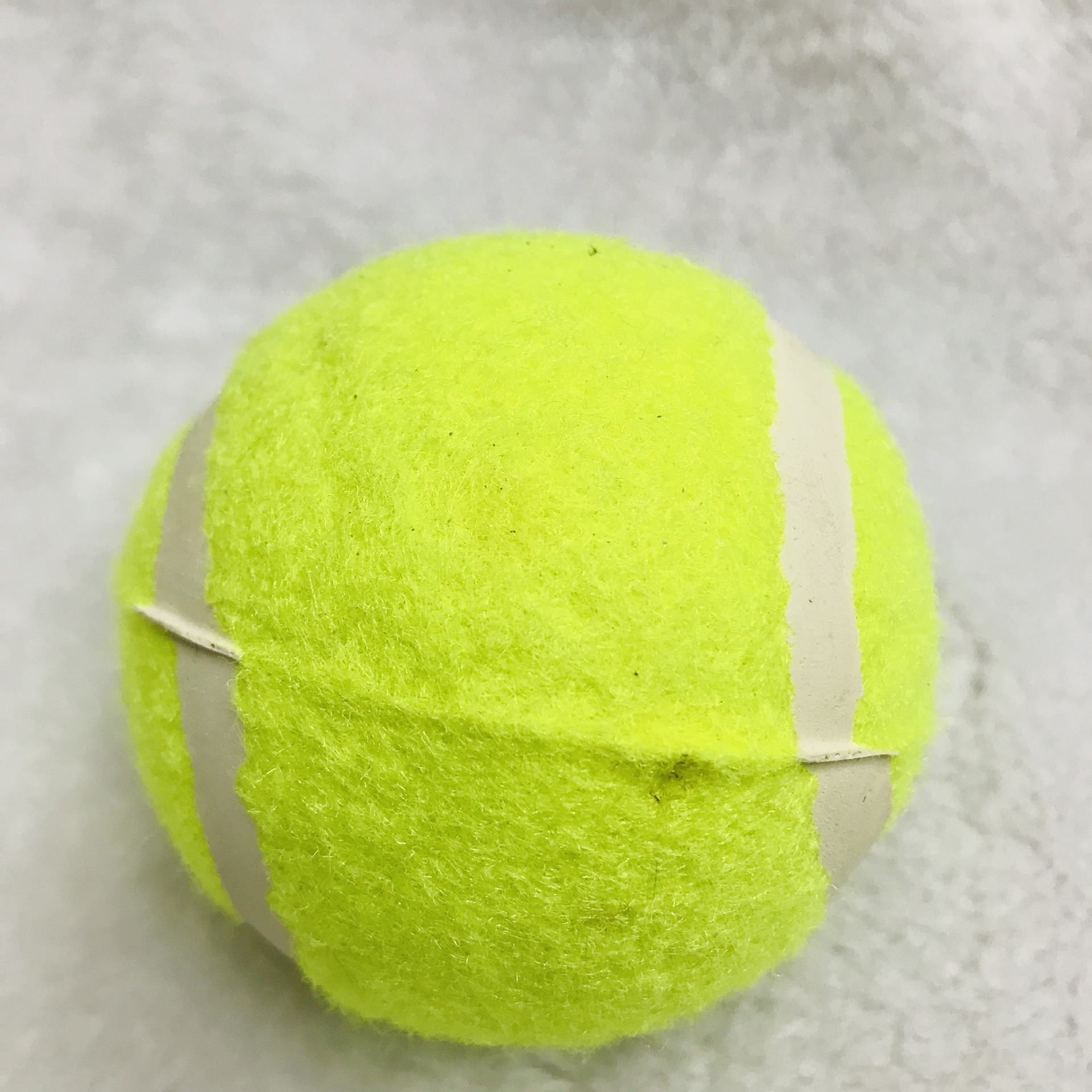 IMG_7631(20190516-150306)