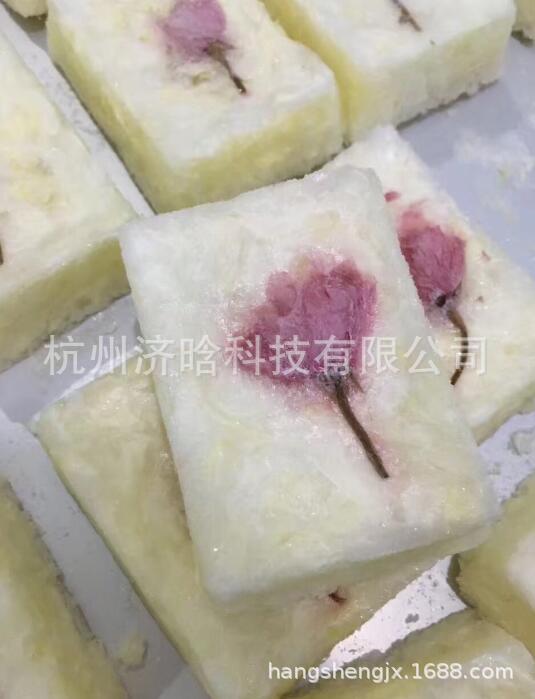 银耳汤冻干机,冻干银耳羹设备,FD冻干银耳羹生产线