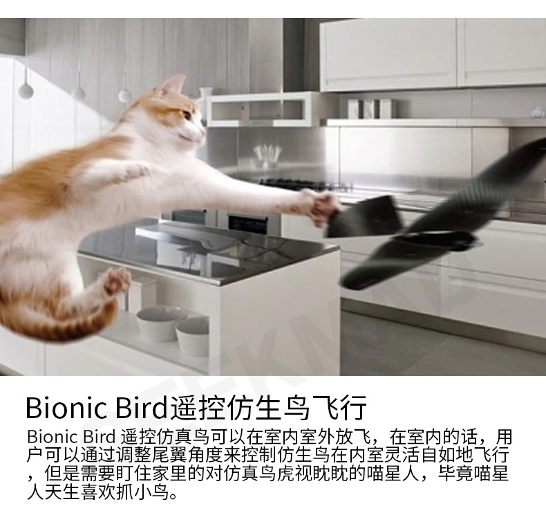 Bionic Bird Oiseau furtif - Ref 3424055 Image 13