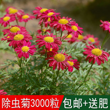 �ļ�����xֲ�ﻨ�����Լt�����x�շN����ò�����nω����ļ���