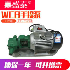 wcb-75便携式微型手提泵 wcb高压柴油泵 电动小流量自吸式齿轮泵