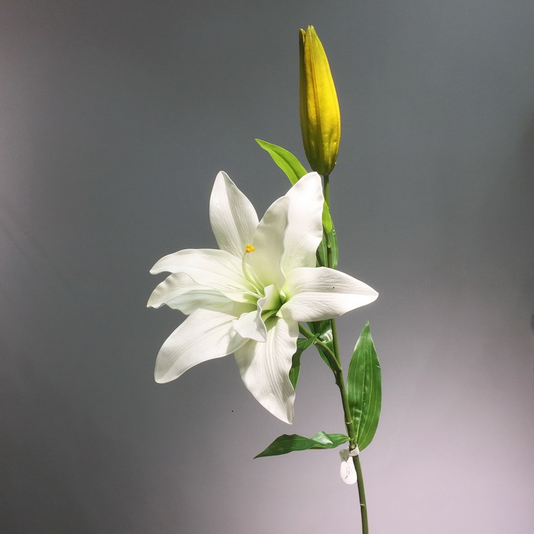 2-3白色百合.JPG