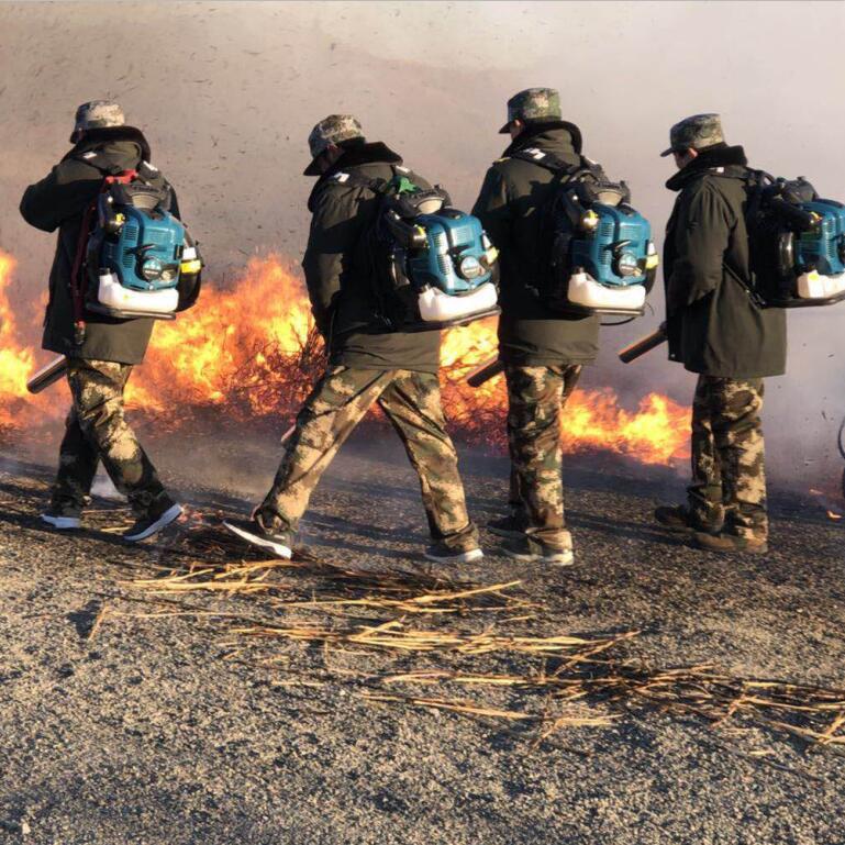 8778373634_498371388