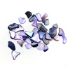 Japanese new flower shell is irregularly highlighted and natural shell fragmented phototherapy nail shell set 12 color