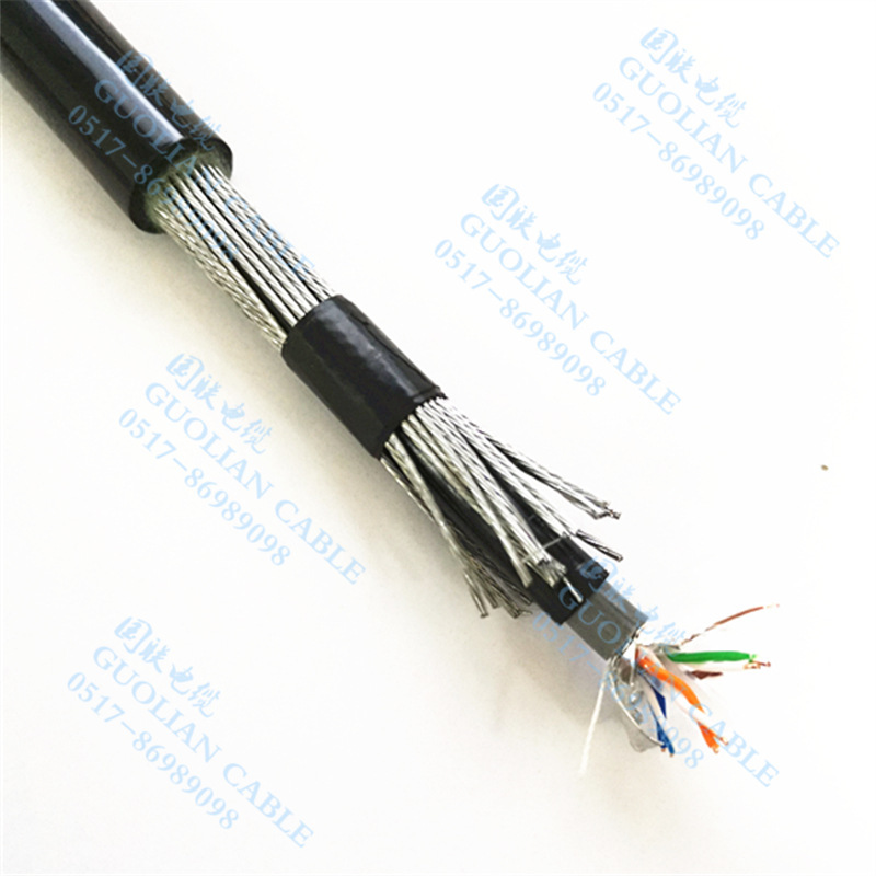 CAT6 Super Six Steel Wire Winding Armored Network Cable Jiangsu Guolian Cable Co., Ltd Specializing in Production