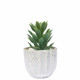 White green High 16cm wide 8cm