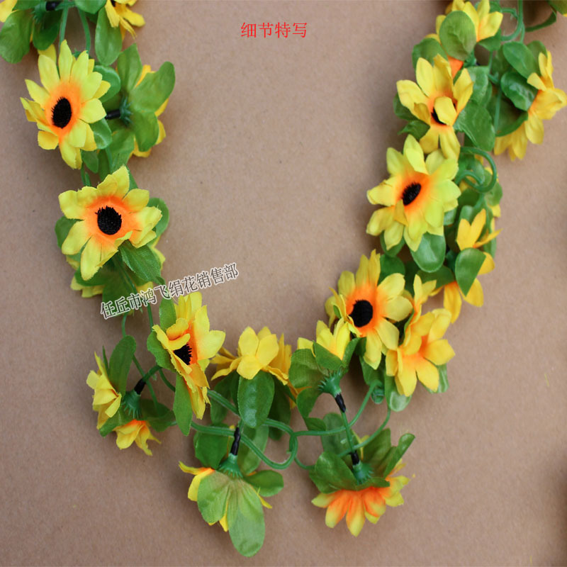 xiaotaiyanghualian10