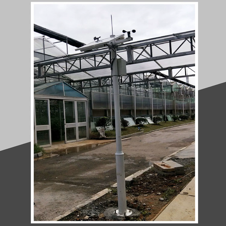 Сельскохозяйственная тепличная среда Дисплей Парниковые метеорологические данные Светодиодный большой экран Сельскохозяйственная Автоматизация Интернет вещей