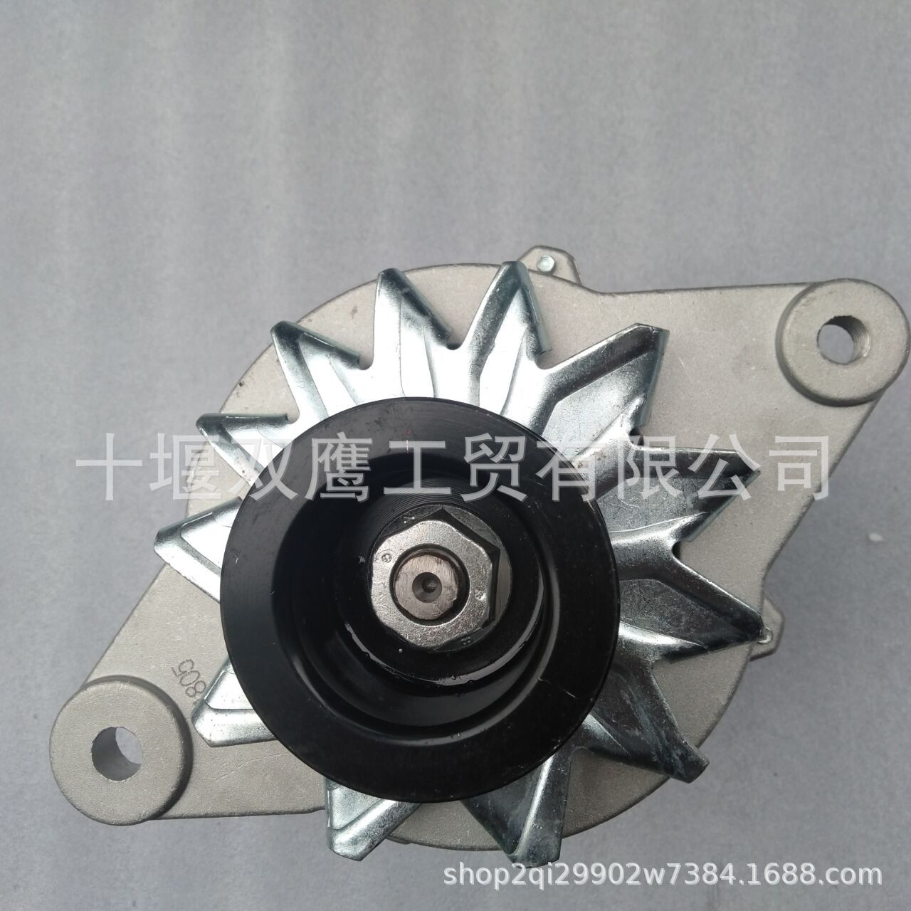 佩特莱JFZ2710F康明斯4939018发电机(5)
