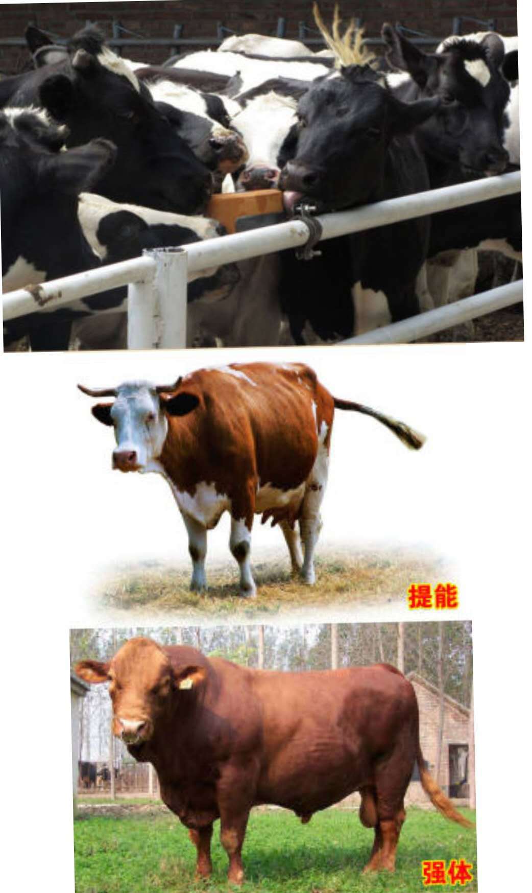 微信图片_20190422140119