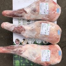 國產羔羊前腿 冷凍羊腿前腿燒烤火鍋店供應食材冷凍羊肉