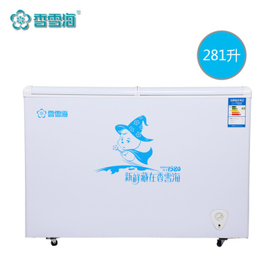 Snowsea/香雪海BCD-281JD双温双室直冷冷柜 冰柜家用商用冷藏冷冻|ru