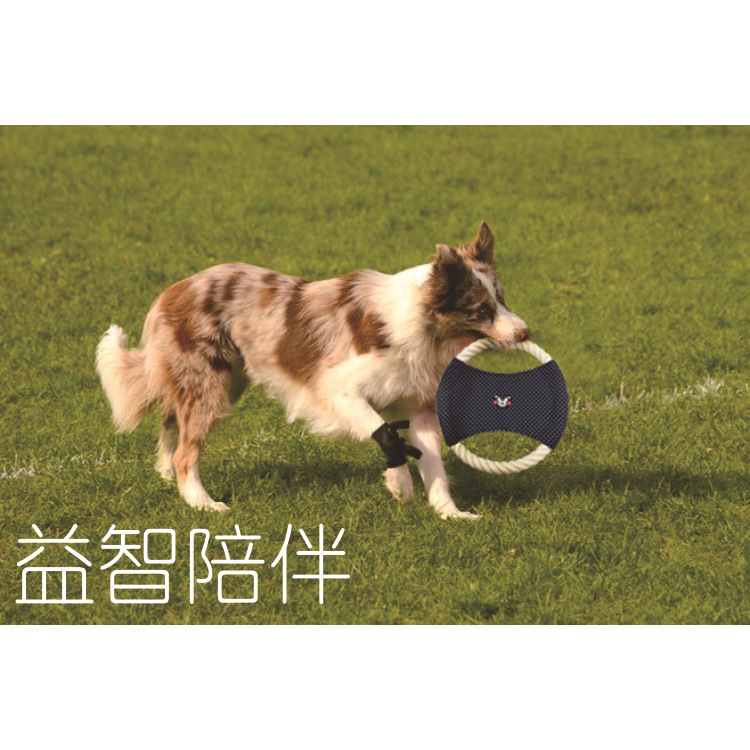BHG17101-04飞盘-7