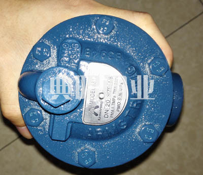 881倒置桶疏水阀 阿姆斯壮881倒吊桶内螺纹蒸汽疏水阀