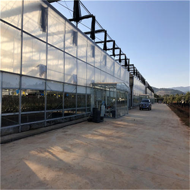 种植花卉大棚 镀锌钢管大棚 多肉花卉温室大棚厂家供应