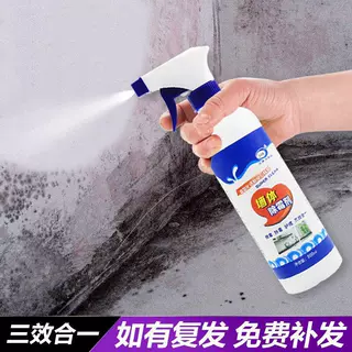 墙体除霉王墙面除霉剂克霉王去霉剂霉斑清除剂
