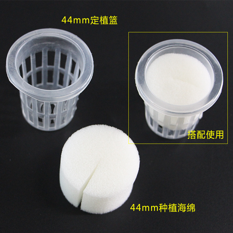 厂家批发44号直径家庭园艺装饰海绵无土栽培蔬菜水培设备定植海棉