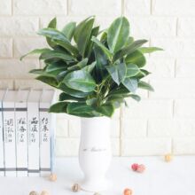 �WʽС���·���Gֲ �ҾӲ����[�����滨�ٻ��������ָ�3D���~