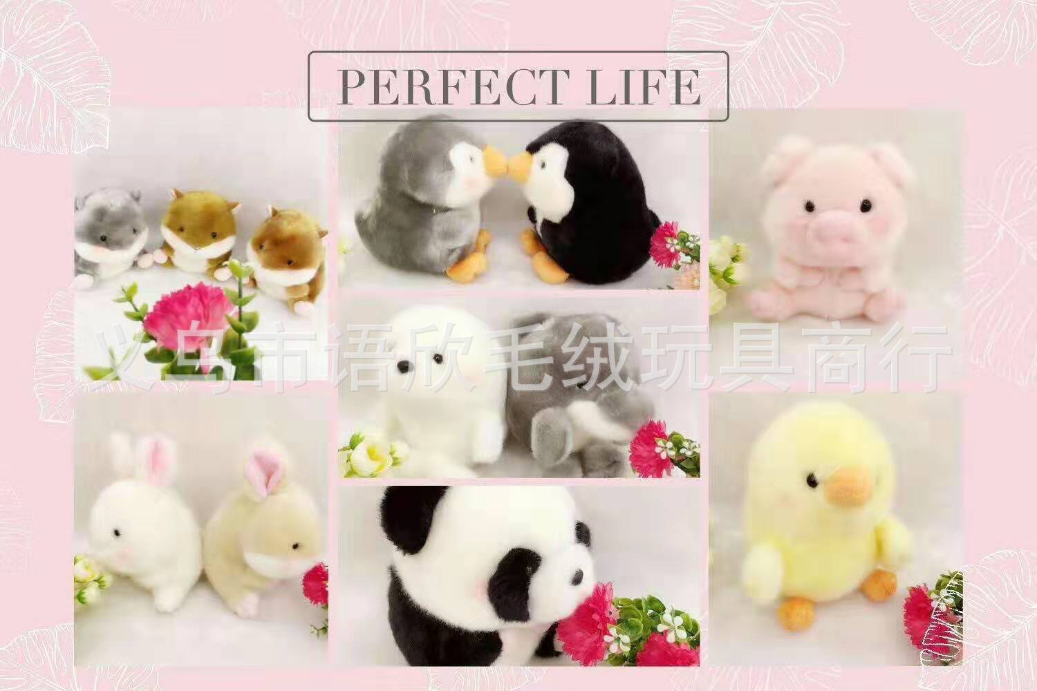 755a1e88fadfaa5d72a9862f13f23a