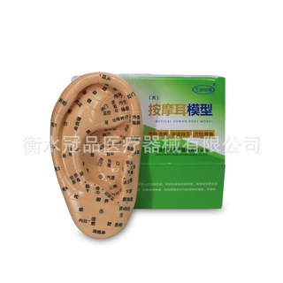 针灸耳朵模型 耳膜 耳模 耳穴位图 按摩耳模型耳部反射区按摩批发