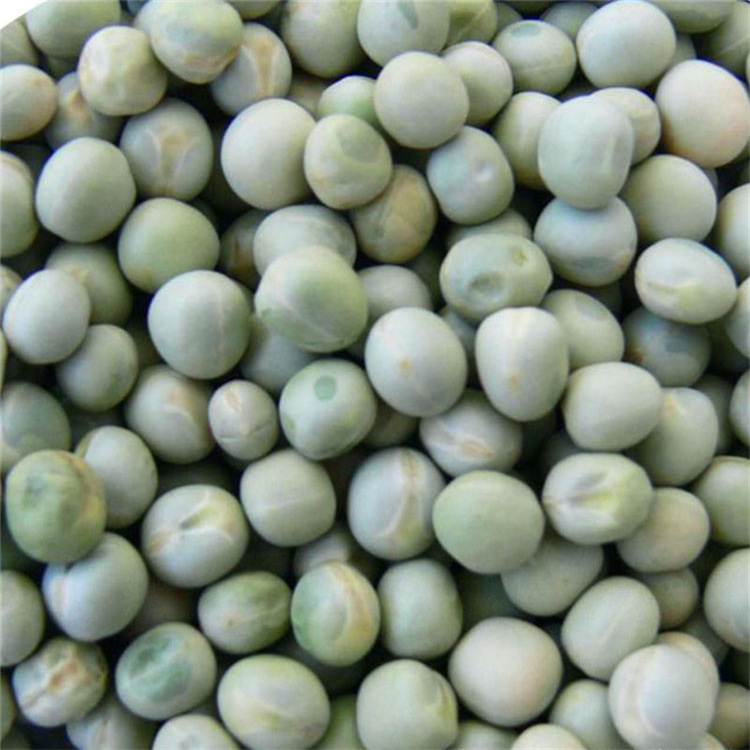 青豌豆批發 青豌豆廠家直批 五谷雜糧批發