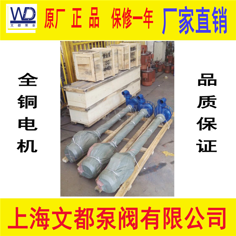 现货直销上海文都NL76-9型不锈钢防爆液下泥浆泵耐腐蚀长轴泵吊泵
