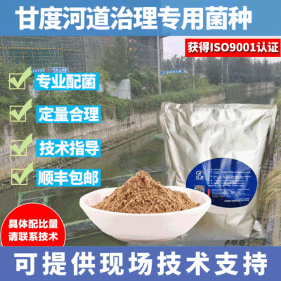 甘度污水处理菌种 河道治理微生物细菌 水处理菌种去除cod氨氮|ms
