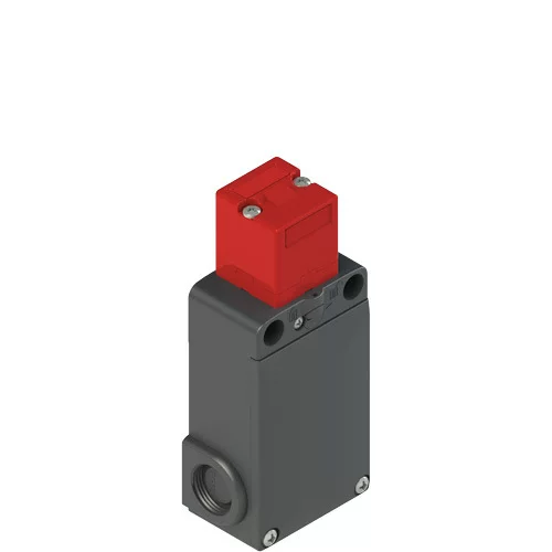 Italian Pizzato Limited Switch FS 1896E024-F2