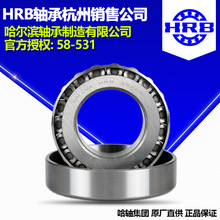 HRB ���������31328 Բ׶������к��ݷֹ�˾ֱ��