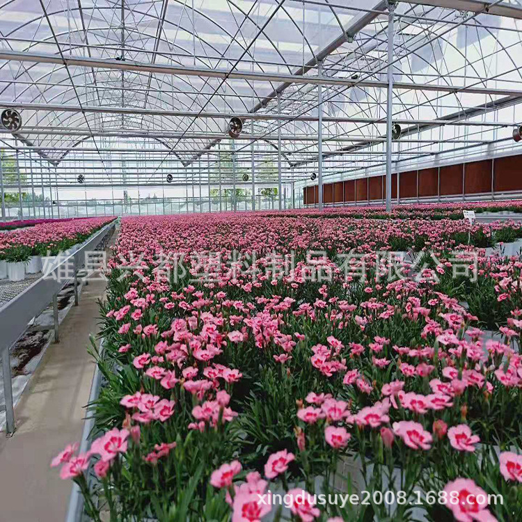 微信图片_20190731114911