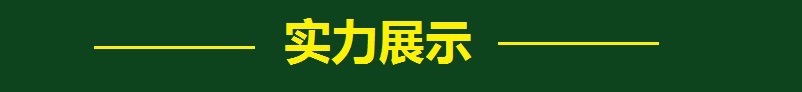 实力标签