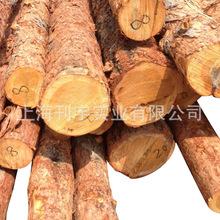 落葉松木方 樟子松 烘干板材 落葉松木樁價格批發  廠家供應